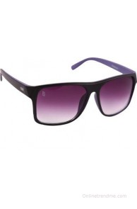 Esque Wayfarer Sunglasses